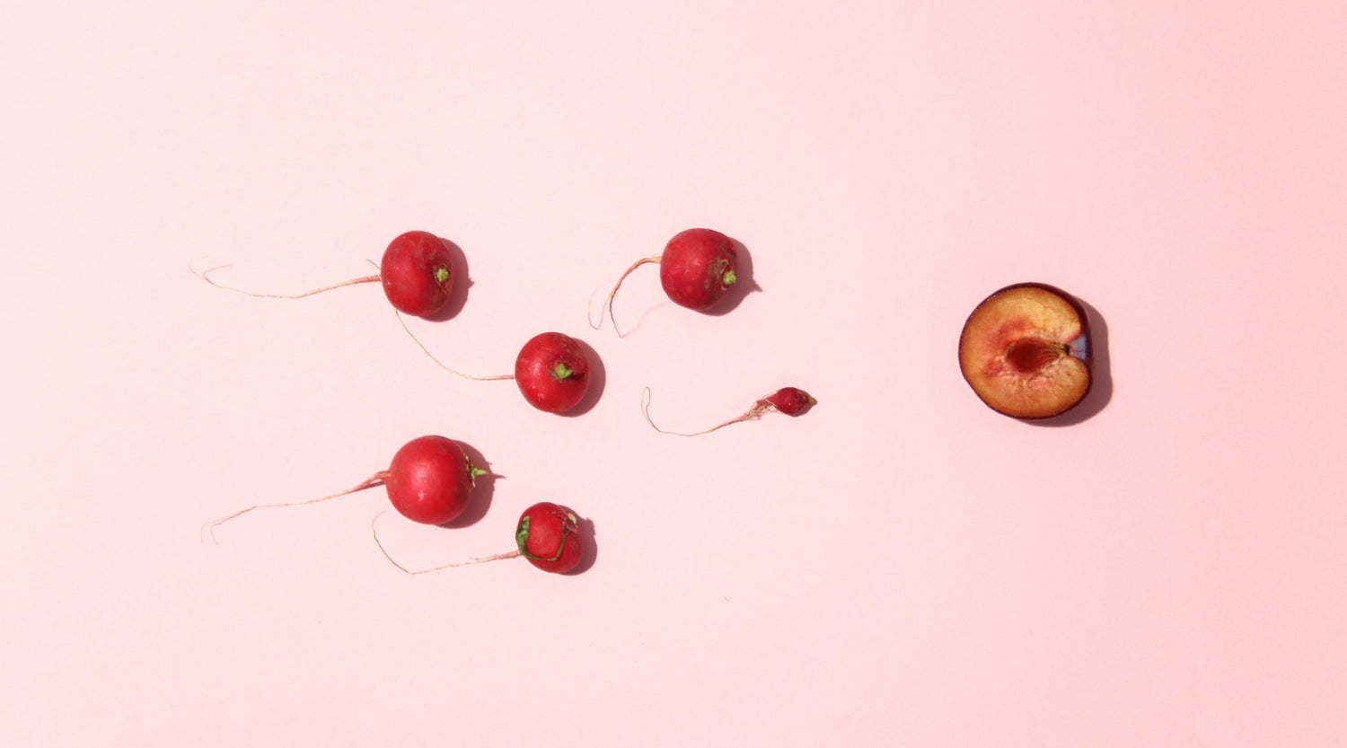 Do Boxer Shorts Affect Sperm Count? Separating Fact from Fiction