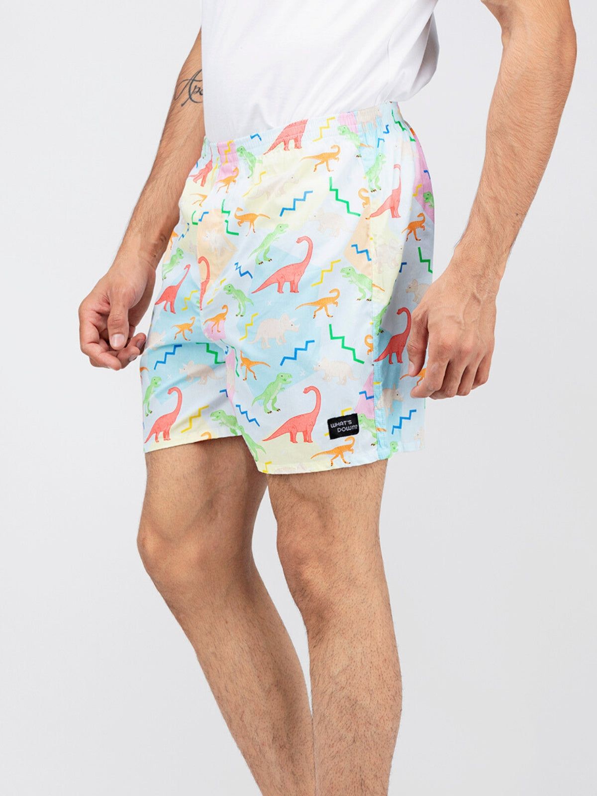 Multicolour Dino Mens Boxers