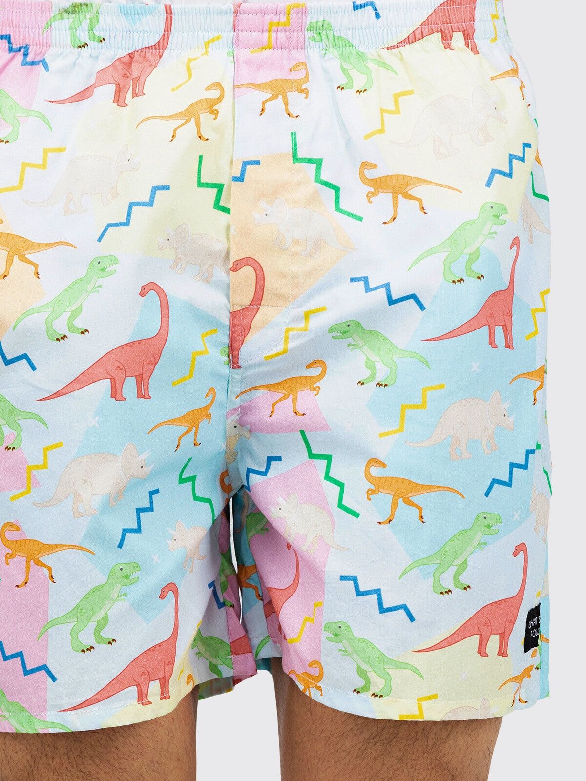 Multicolour Dino Mens Boxers