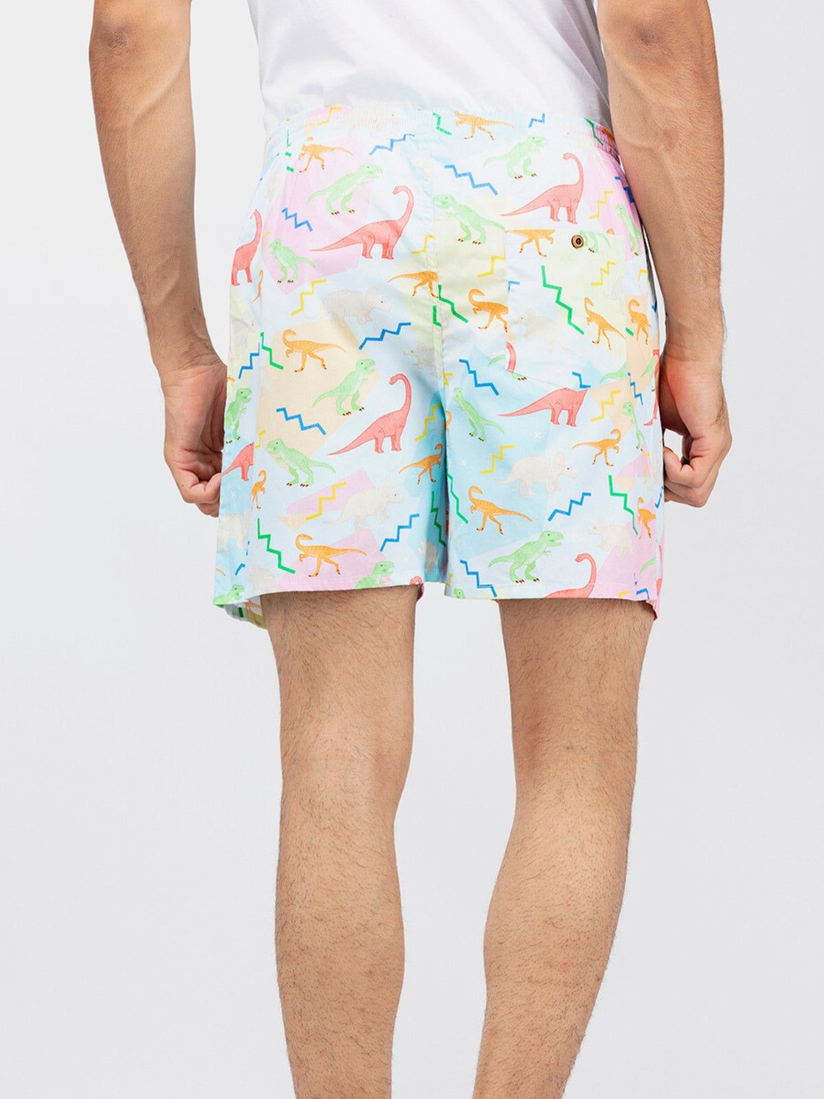 Multicolour Dino Mens Boxers